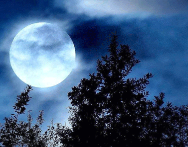 關于月亮的溫柔浪漫神仙句子 描寫月亮的好聽句子2