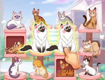 猫咪日记动漫公主换装