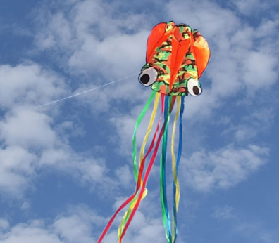 周末出门郊游放风筝的文案 关于放风筝的优美说说2