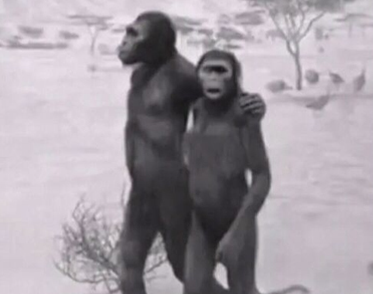 最近很火的18000年前猿人的搞笑文案带图片 让人意想不到的沙雕句子1