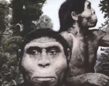 最近很火的18000年前猿人的搞笑文案带图片 让人意想不到的沙雕句子6