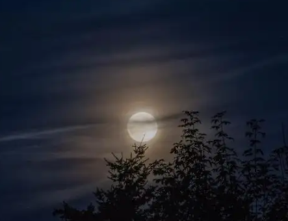 月亮很唯美又很治愈的句子 藏在月亮里的温柔仙句1