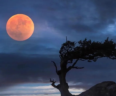月亮很唯美又很治愈的句子 藏在月亮里的温柔仙句2